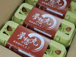 夢想丸,卵,岸和田,絶品